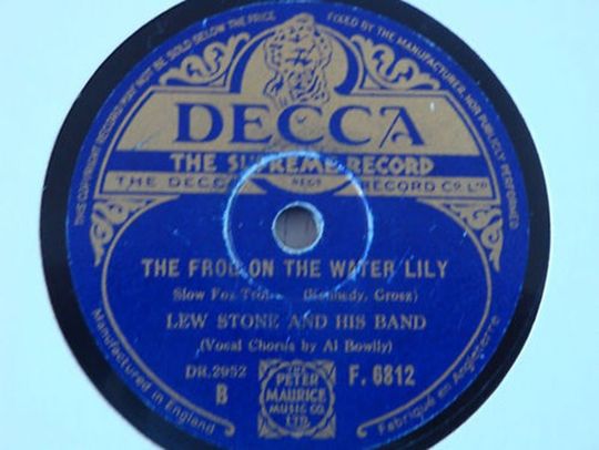 The Frog On The Water-Lily